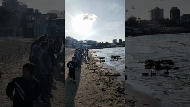 1 ноября 2024 Анапа