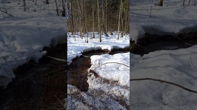 Волшебные молочные гейзеры Корпиково