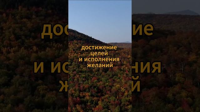 Счастье, мотивирующие позитивное видео