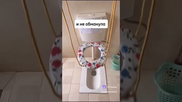 нежданный сюрприз в туалете