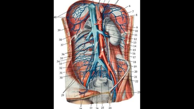 Спинальная анестезия при ожирении.