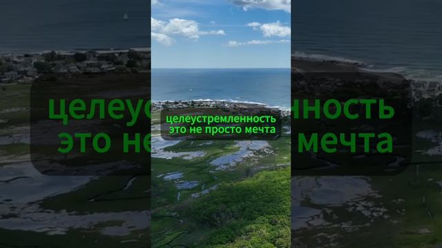 Целеустремленность полезное видео