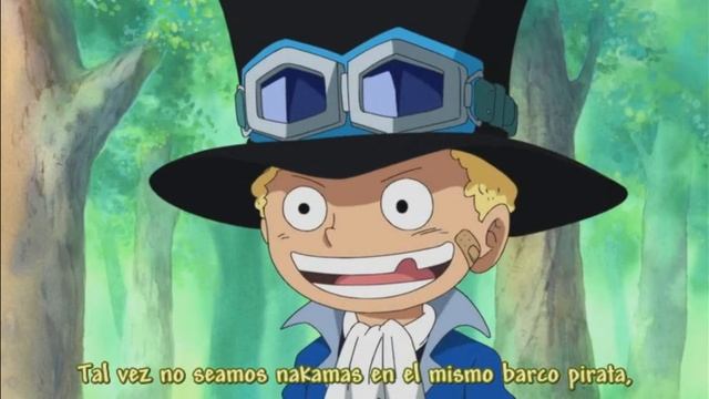 luffy, ace y sabo (el brindis de los hermanos)