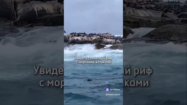 ЮАР Экскурсионный тур!