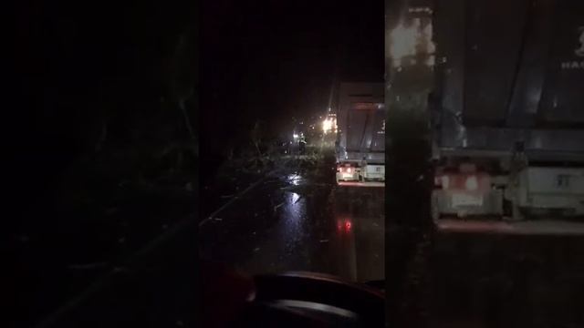 ‼️Последствия сильного ветра на трассе в районе Колюбакино, Рузский городской округ, Подмосковье‼️