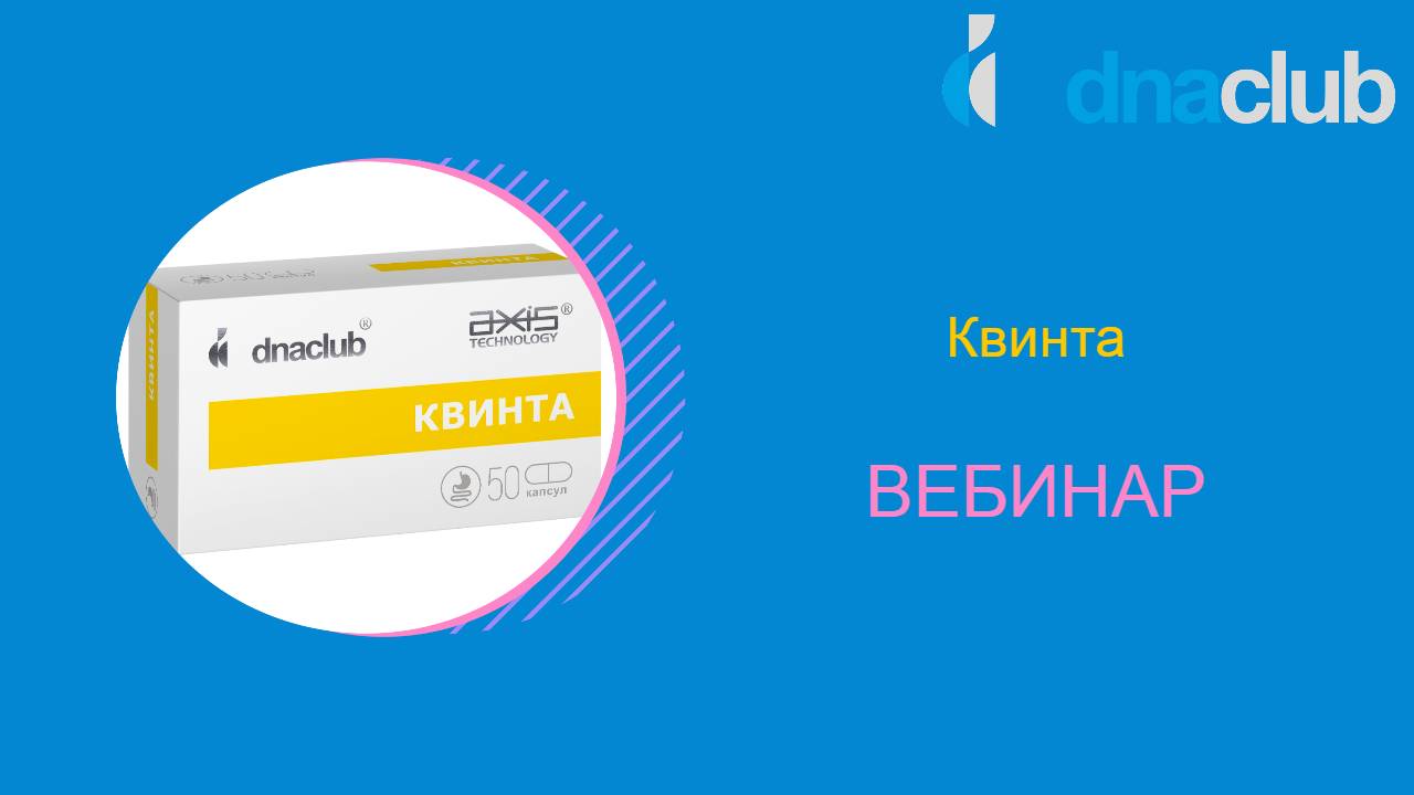 Квинта