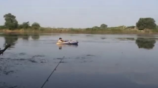Подельники