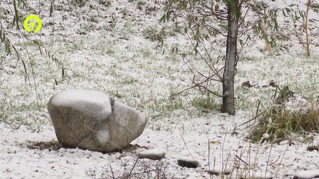 Давеча вечерний выпуск 02.11.2024