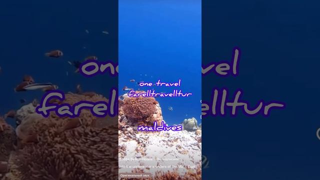 One travel Tur _maldives