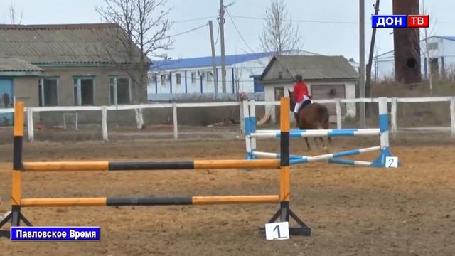 Соревнования по конкуру. Осень 2019. г. Павловск Воронежской обл