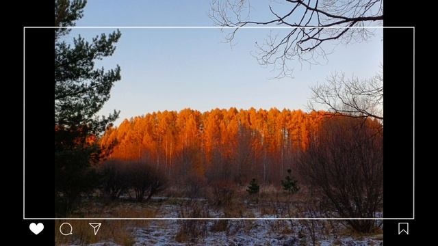 Золотая осень