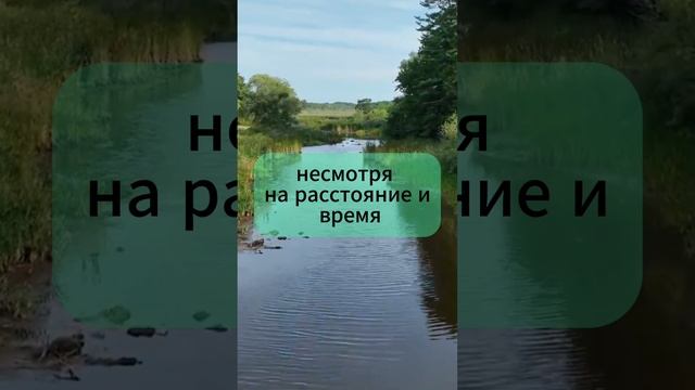Друзья, мотивирующие видео