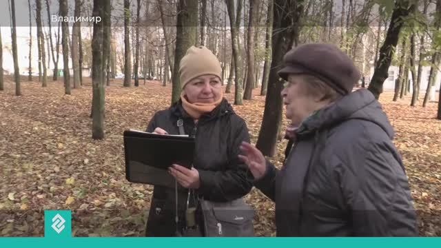 Более двухсот аварийных и больных ясеневой златкой деревьев выявили в Центральном парке