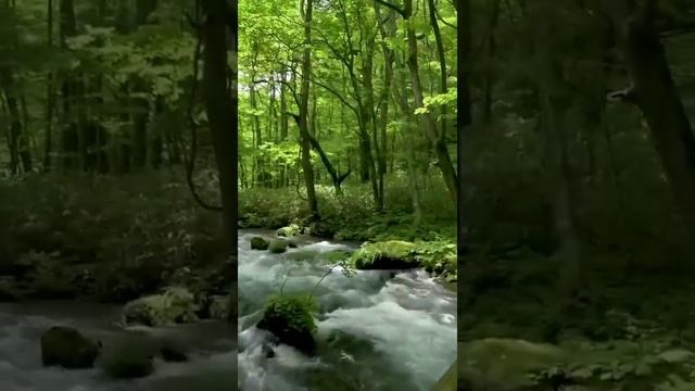 Красивая расслабляющая музыка музыка для снятия стресса, музыка для сна, успокаивающая музыка #17