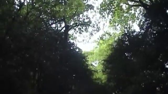 Волконское ущелье