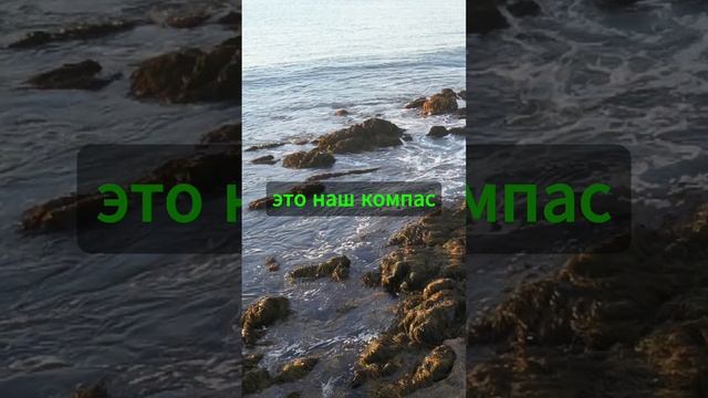 Мечты