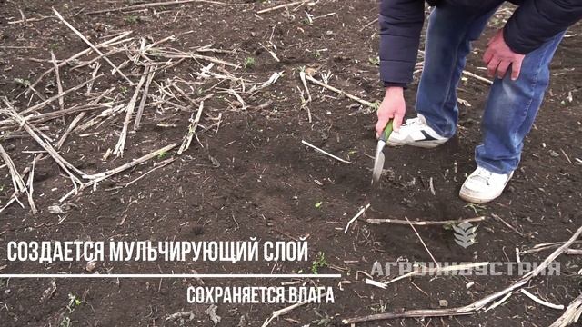 БРК -8 (Борона ротационная кольцевая) Незаменим