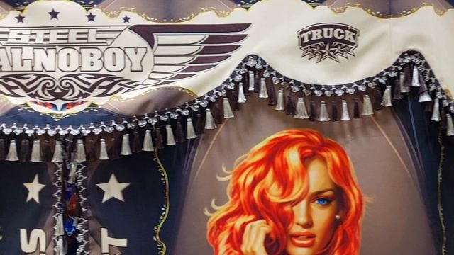 Автошторы на грузовые авто (ламбрекены, спальники, ночные шторы)