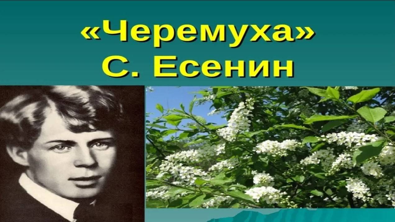 ЕСЕНИН С.А. _ _ЧЕРЕМУХА_ _ Стихи Русских Поэтов _ Аудио Стихи _ Слушать Онлайн