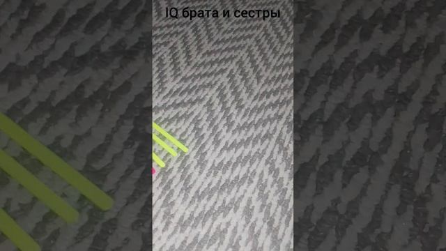 IQ брата и сестры