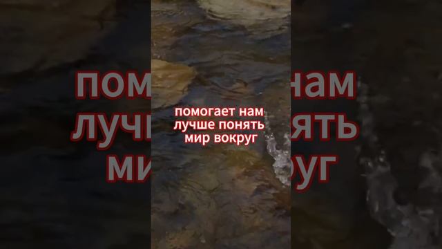 Познание самого себя