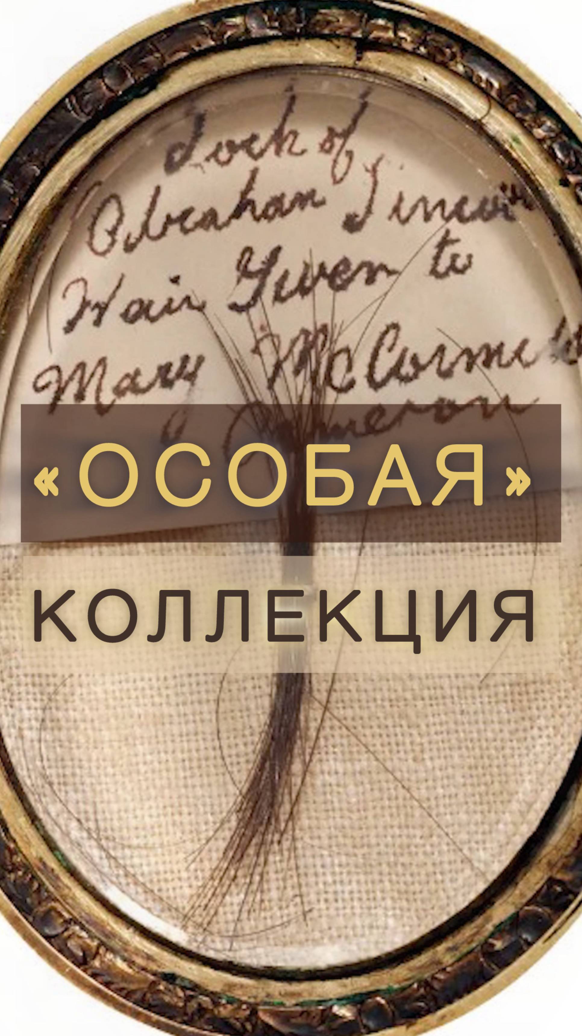 Самая жуткая коллекция в мире