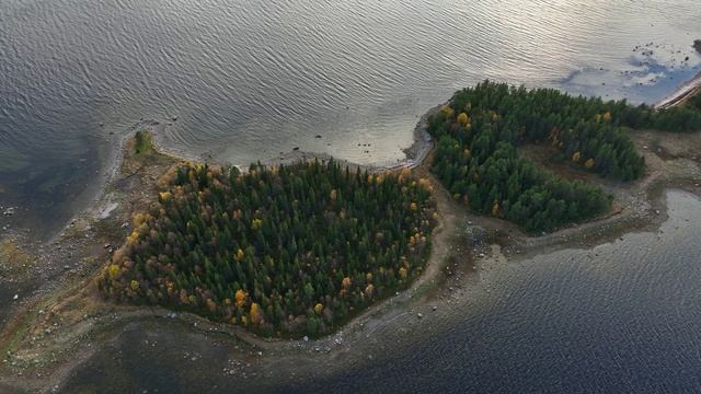 Белое море Тюлень Острова