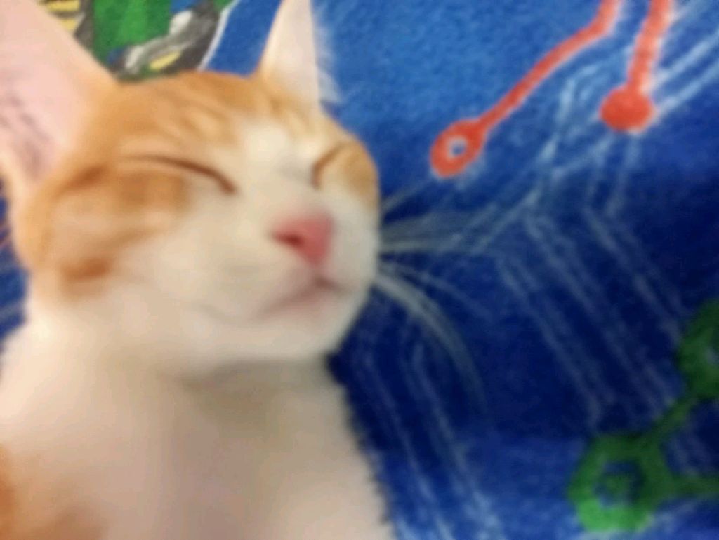 😿грустный стрим по играм погнали😿
