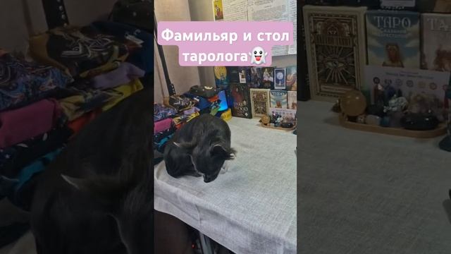 Если хочешь раскрыть глубже интересующие вопросы, пиши мне в мессенджеры по прикрепленным ссылкам