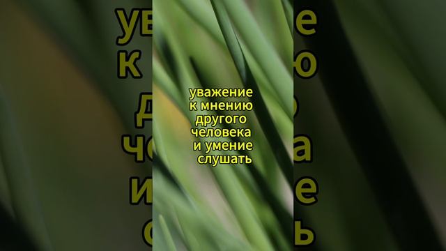 Отношения позитивное видео