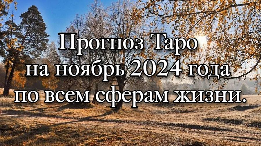 Прогноз Таро на ноябрь 2024 года по всем сферам жизни.