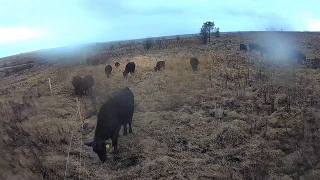 "Домой" ещё рано