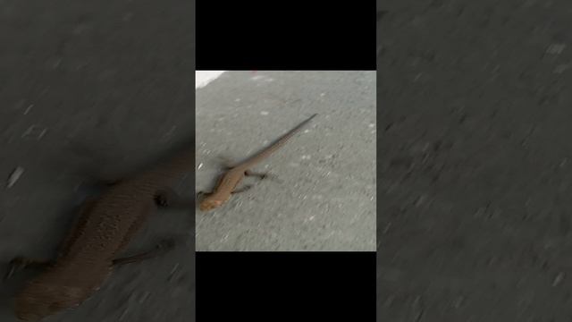 1000340459.mp4