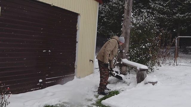 2.11.24г.-Снег кружил и падал- как тогда.