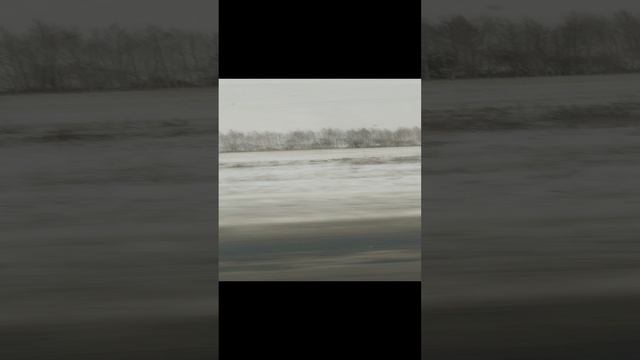 первый снег