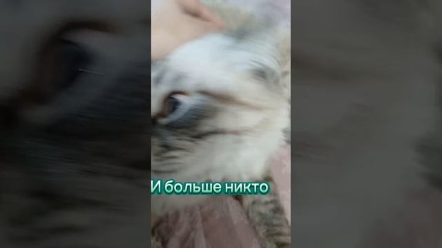 Кокс опять довыпендривался 🤦