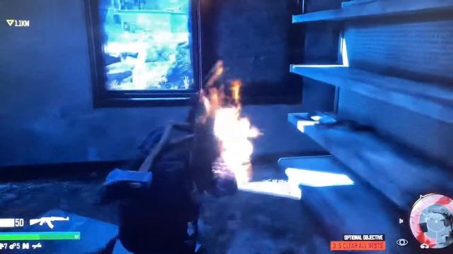 Lit glitch on Days gone on ps5.