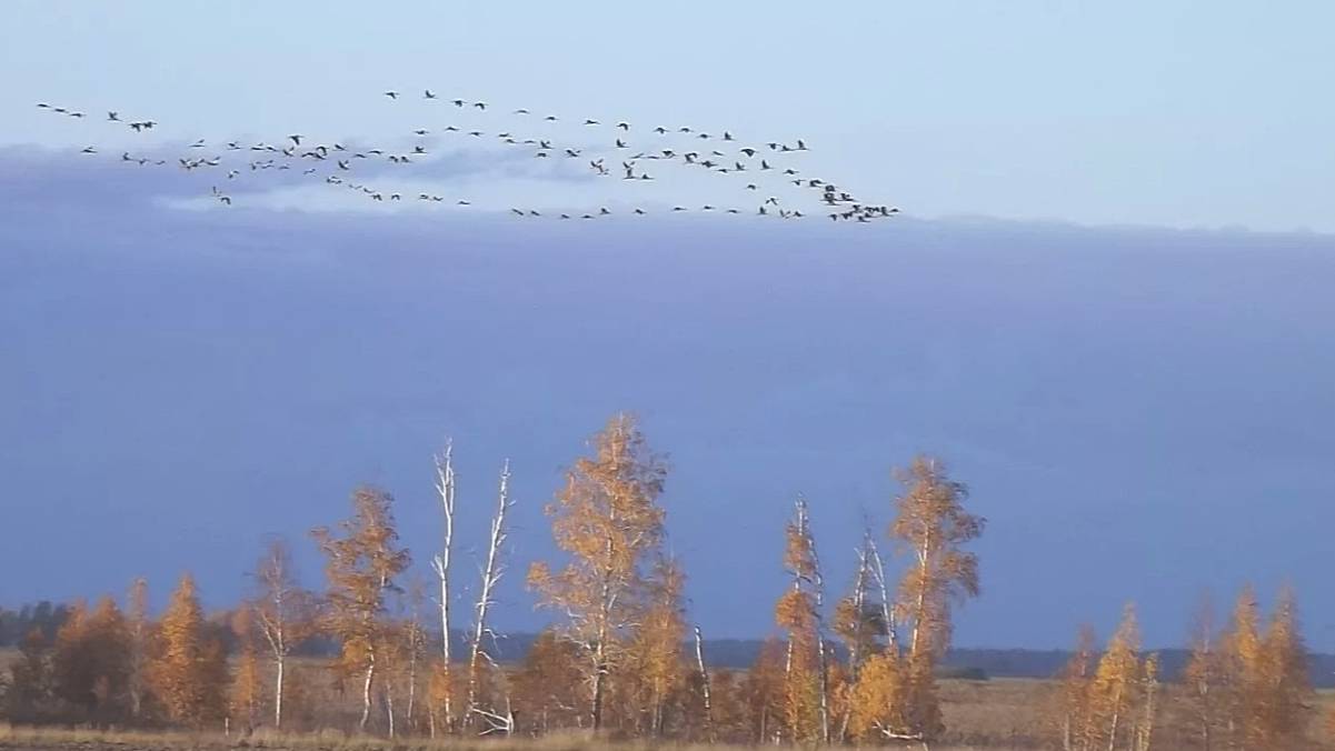 Беспокойная душа.