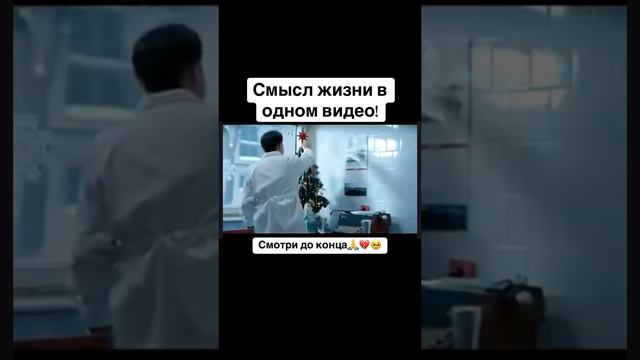 смотреть до конца