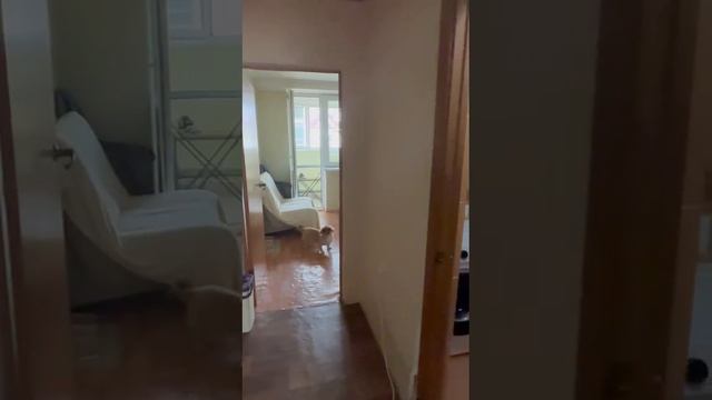 Квартира в Сочи