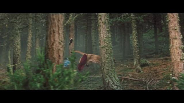 Дети леса - Русский трейлер