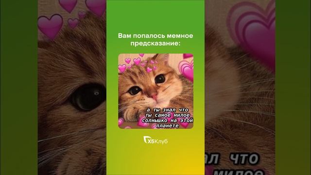 Жмите на экран, чтобы узнать свой МЕМ😁 #х5клуб  #пятёрочка #мем #предсказание #перекрёсток