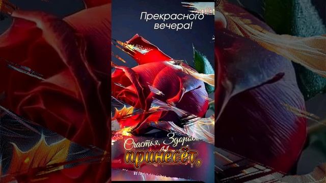 Доброго вечера, приятного отдыха ❤💋