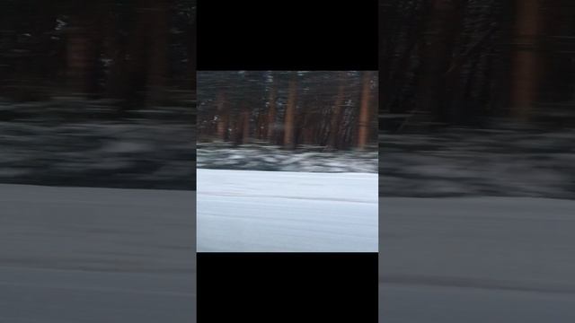 afb8c846-518a-4e13-b9ae-1b3a295f1357-1_all_92.mov