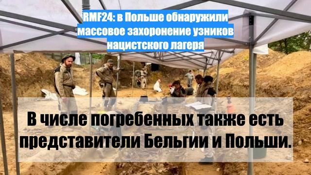 RMF24: в Польше обнаружили массовое захоронение узников нацистского лагеря