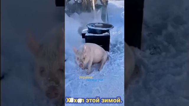 ЗИМА НА УКРАИНЕ!