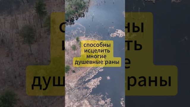 Смех позитивное видео