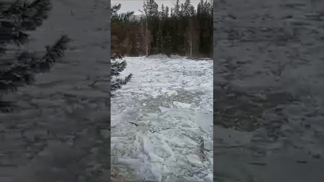 Жесть это надо видеть
