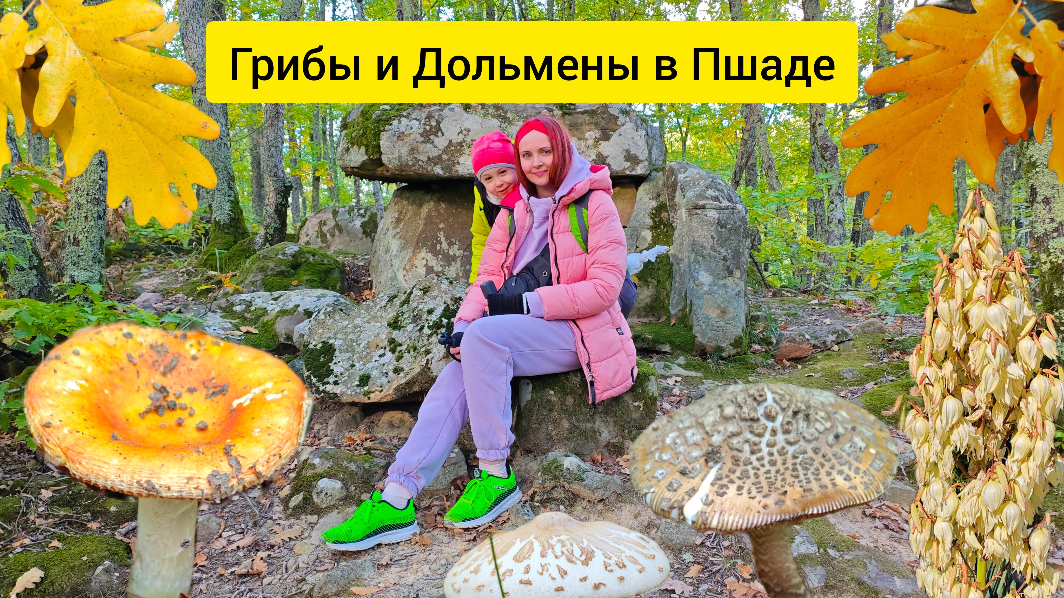 #129 Какие грибы растут в Краснодарском крае. Пшада #леснаяцаревна #sumkiberry #пойдемсомной