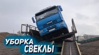 На КАМАЗЕ в дождь убираем свеклу